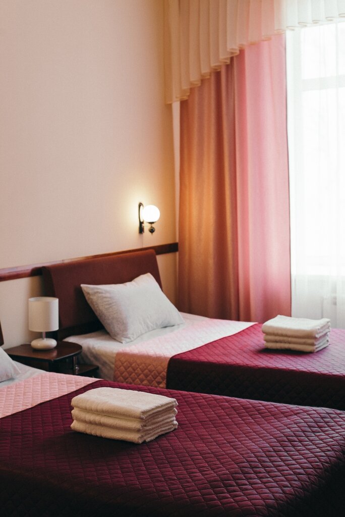 Гостиница Вирджиния Йошкар-Ола-247