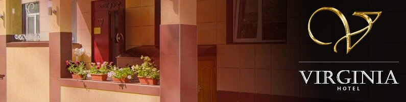 Гостиница Вирджиния Йошкар-Ола-132