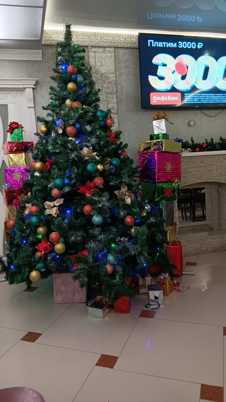 Гостиница Вирджиния Йошкар-Ола-114