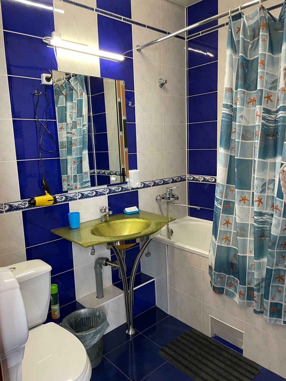 Гостиница Вирджиния Йошкар-Ола-83